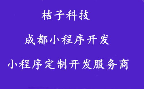 成都小程序定制与开发 成都定制小程序的公司 小程序专业定制公司